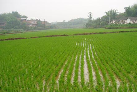 農(nóng)田水利和大農(nóng)機建設